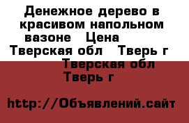  Денежное дерево в красивом напольном вазоне › Цена ­ 400 - Тверская обл., Тверь г.  »    . Тверская обл.,Тверь г.